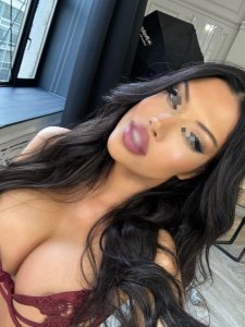 Гербера, 79895882572