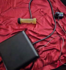 великое превосходительство Екатерина, 79253490684